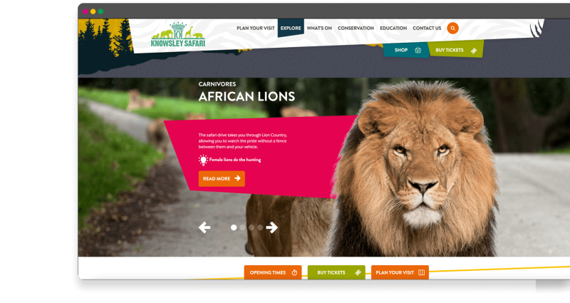 Knowsley Safari Experience