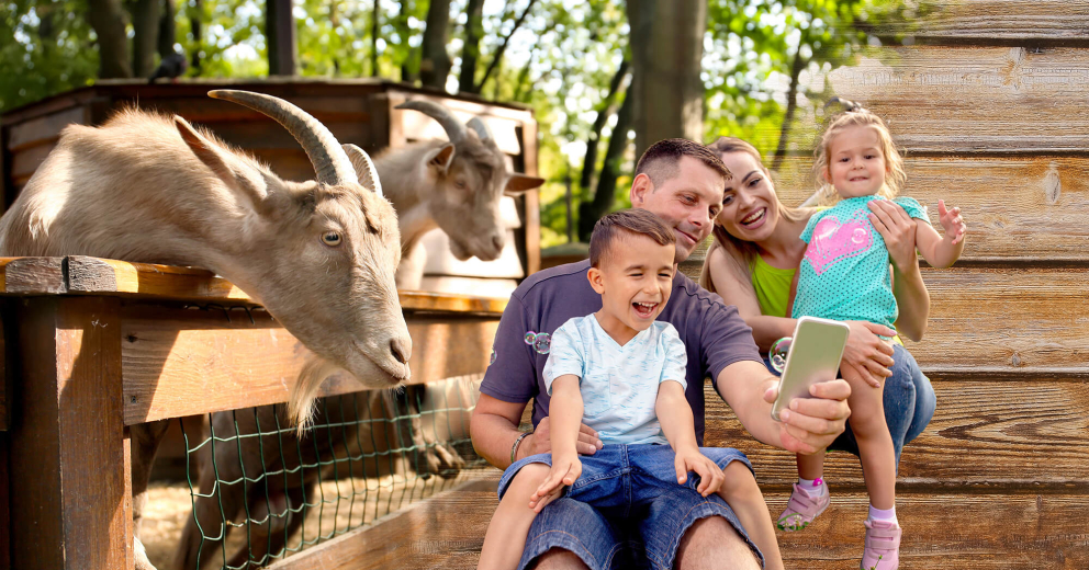 Farm Park Ticketing Solutions