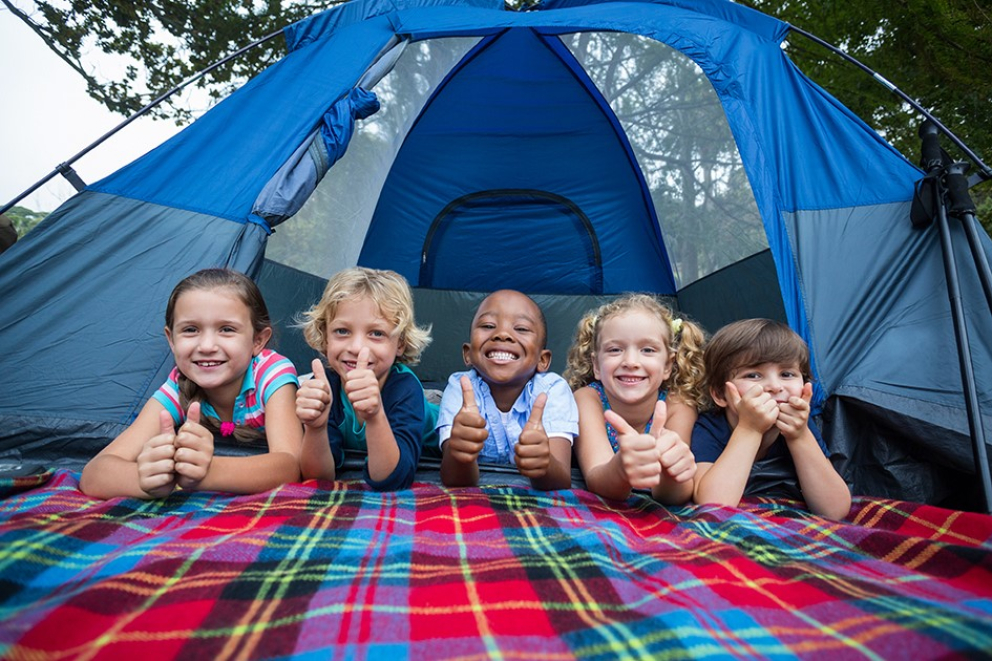 Willows Activity Farm